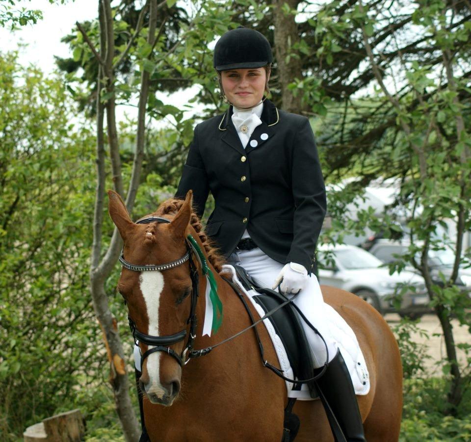 Arabisk fuldblod (OX) Svalebo's Donna billede 2