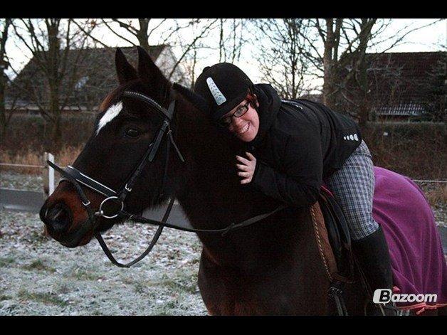 Anden særlig race cazandra billede 2