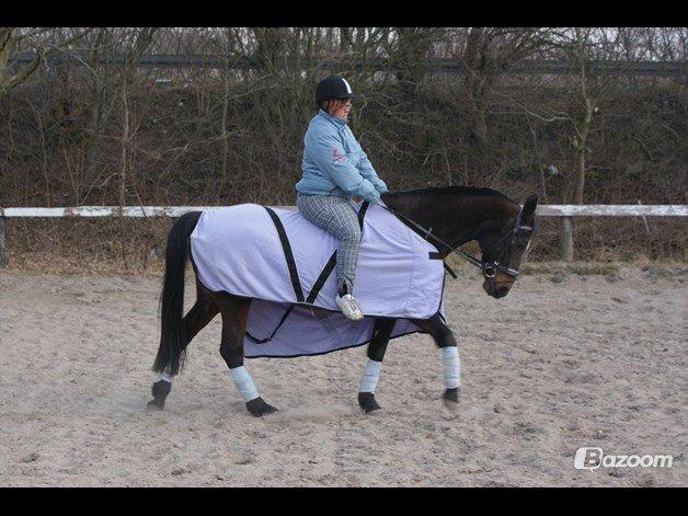 Anden særlig race cazandra billede 8