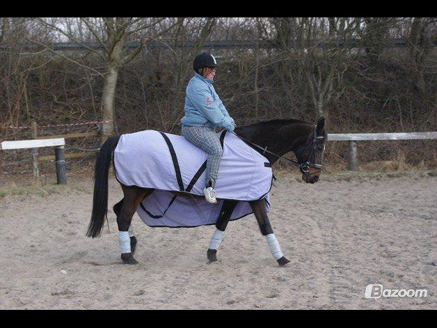 Anden særlig race cazandra billede 11