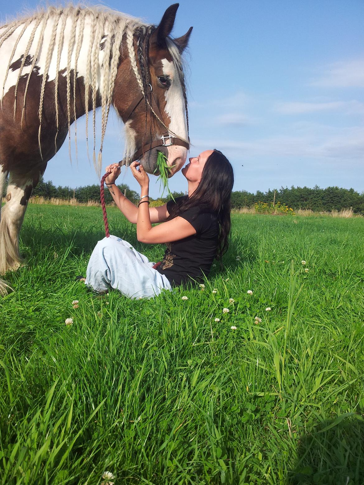 Irish Cob * Luna * - Der hygges :) billede 10