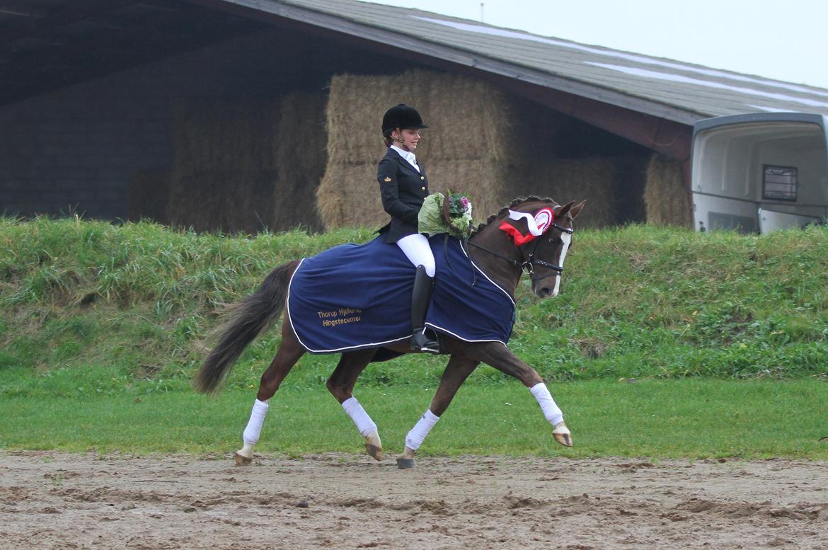DSP Boogie - Boogie vinder 4 års championat 2012 billede 2