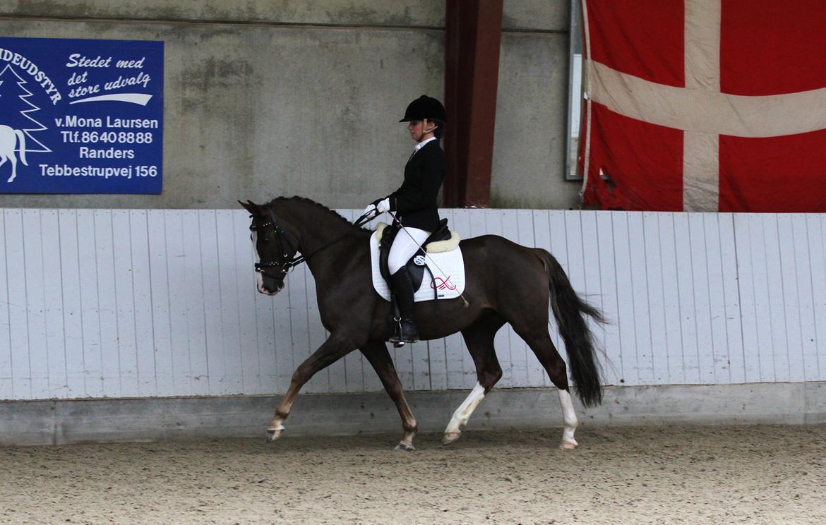 DSP Boogie - Boogie til indledende runde i 4 års championat. billede 5