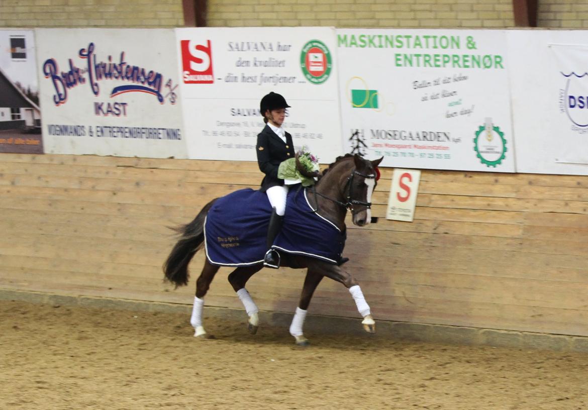 DSP Boogie - Boogie vinder 4 års championat 2012 billede 10