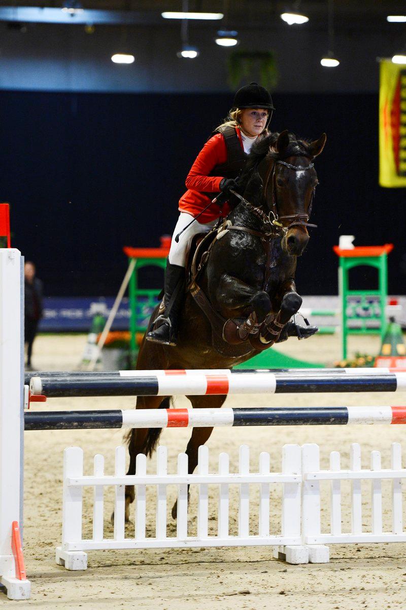 Tysk Sportspony Verdi - B-pony - Bassen og Jeg i en LA!!!<3 billede 8