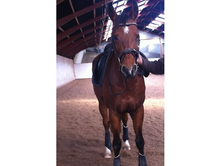 {{currentPhoto.altText}} billede {{currentPhoto.number}}