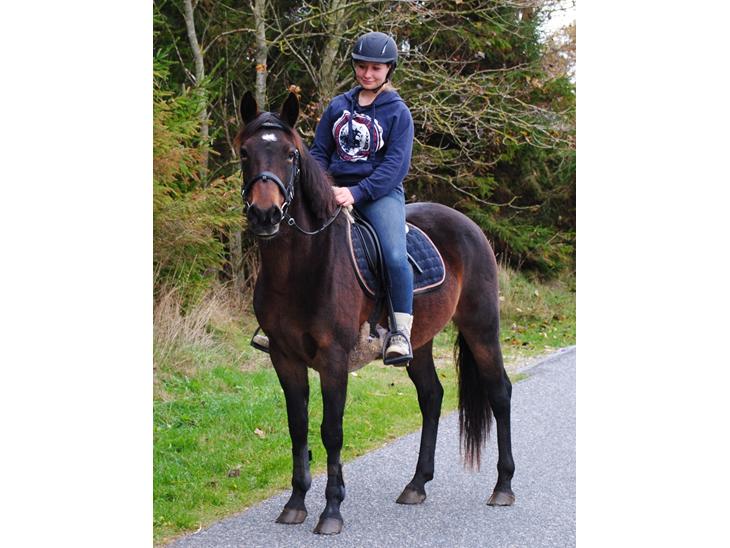 {{currentPhoto.altText}} billede {{currentPhoto.number}}