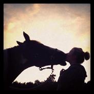 Anden særlig race Fiona (SOLGT) Savner dig!