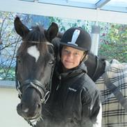 New Forest Pinot Noir B-Pony