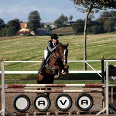 Anden særlig race Felicia