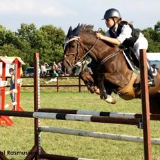 Anden særlig race Felicia