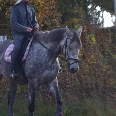 Anden særlig race farmens tessa <3