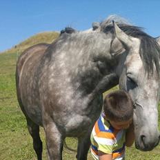 Anden særlig race farmens tessa <3