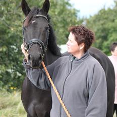 DSP Lille Asserholt Infinity