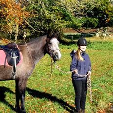 Connemara Guinness Dark Surprise