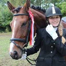 Polsk Varmblod Bielins Cyrenajka