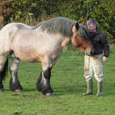 Belgier Emil af kølvringgaarde