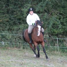 Anden særlig race Celeste (I miss you <3 )