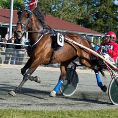 Traver Matilde Pil
