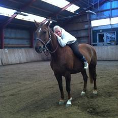 Hannoveraner Lianise (Prinsessen)