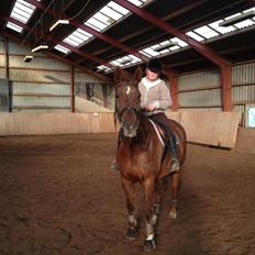 Hannoveraner Lianise (Prinsessen)