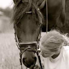 DSP | Vasehøjs Kasira |