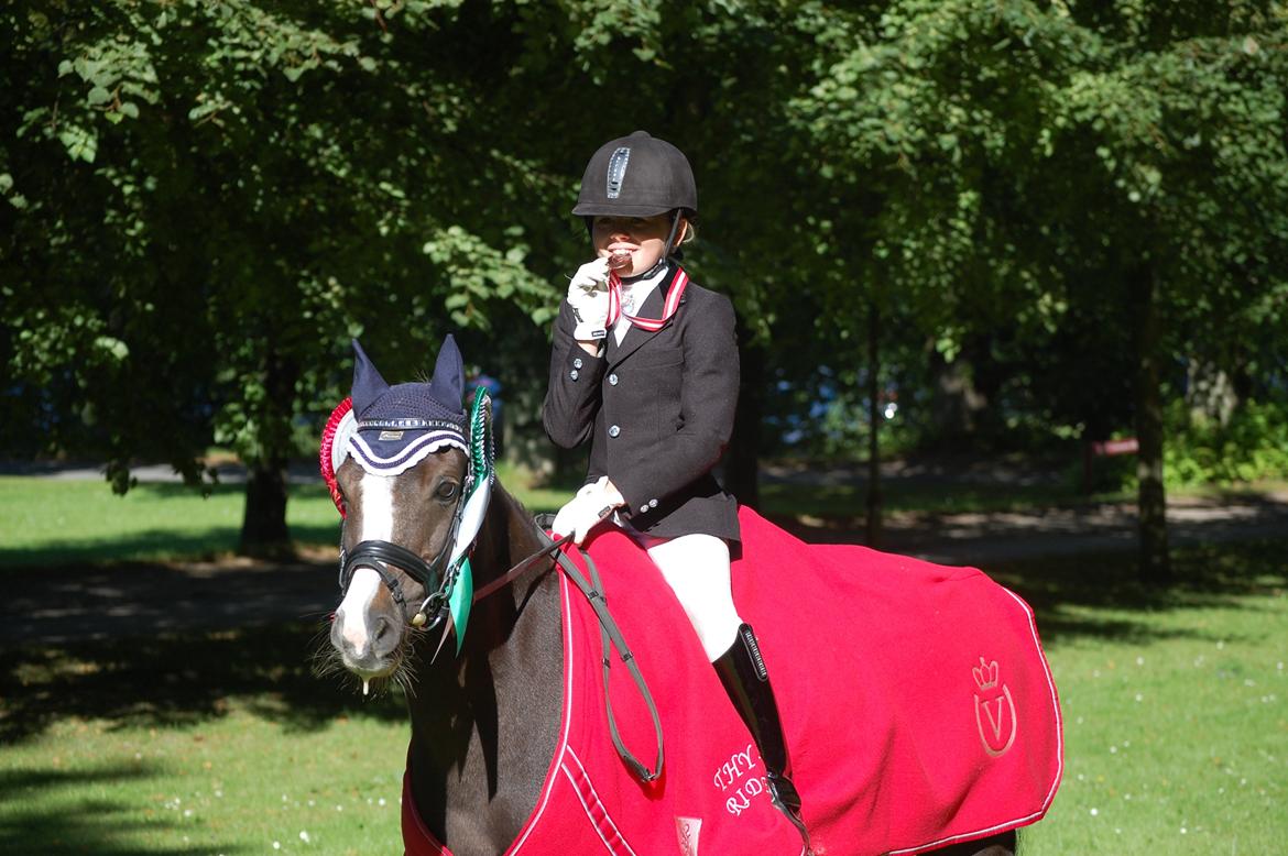 Welsh Pony (sec B) Silver A-pony - Mig og Silver til DM:D
 billede 2