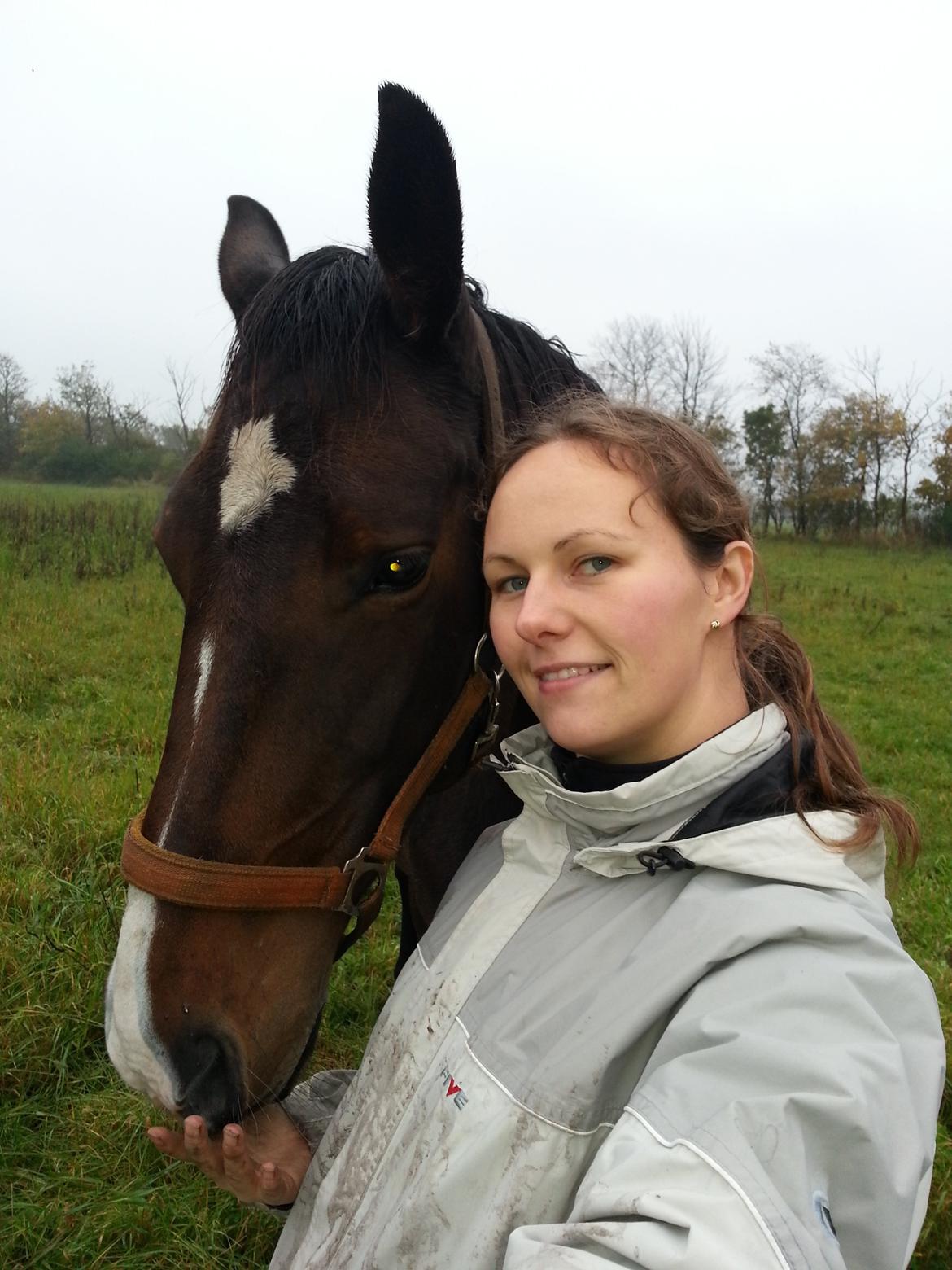 Dansk Varmblod Molly billede 4