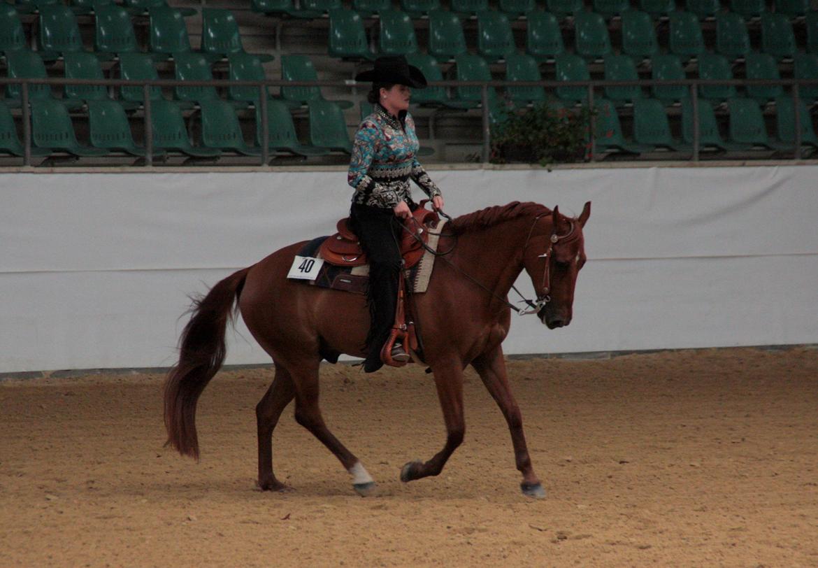 Quarter Little Mega Jac - Jac i Western Riding med en af pigerne fra Team New Zealand til Youth World Cup, Kreuth, Tyskland, 2012, hvor han de fik bronze, og blev nr. 3, ud af 30+ deltagende heste. Vi fik RIGTIG mange positive kommentarer til ham, fra kendte hestefolk, skønt! ;-) billede 17