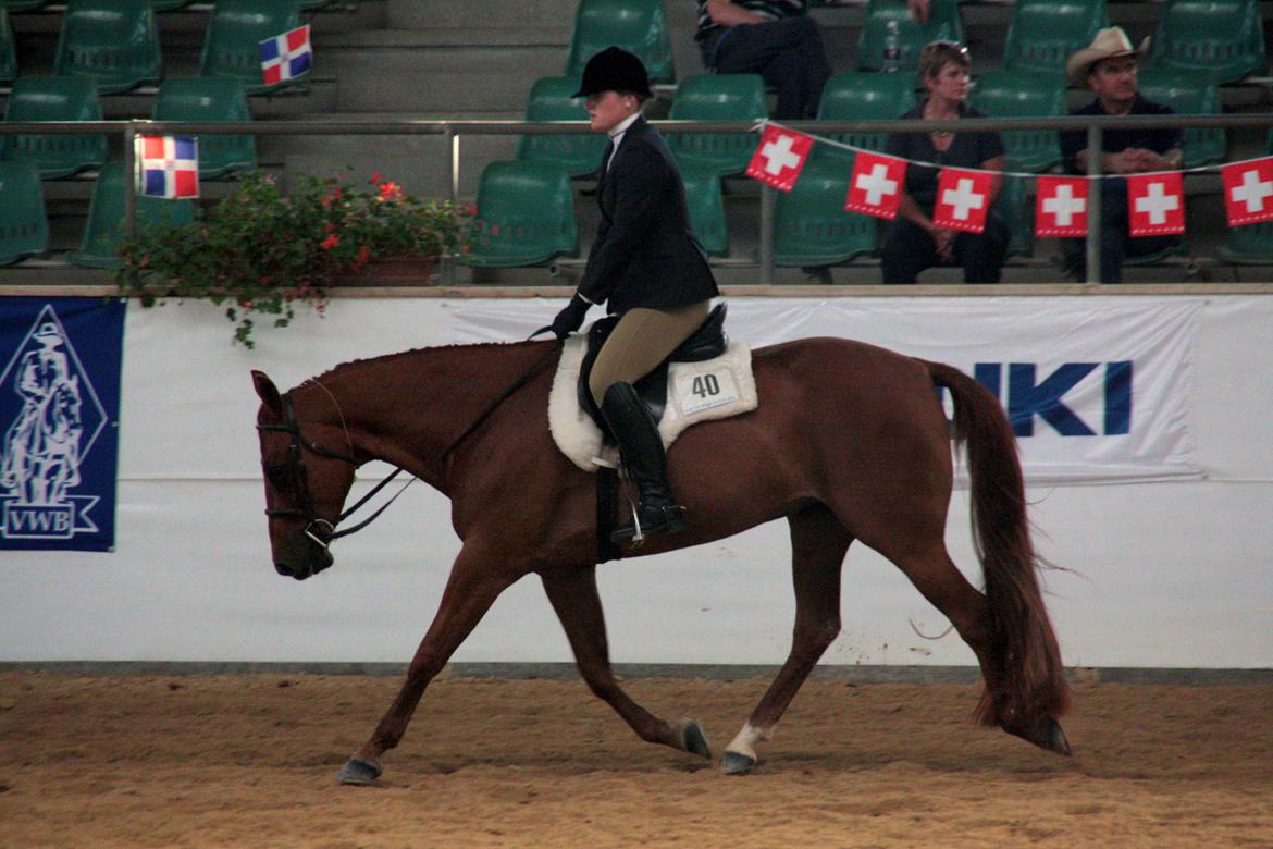 Quarter Little Mega Jac - Jac i Hunter Under Saddle med en af pigerne fra Team New Zealand til Youth World Cup, Kreuth, Tyskland, 2012, hvor de gik videre fra første runde, og blev nummer 6 i finalerunden. I alt ud af 40 + deltagende. SUPER flot! Han gik simpelthen sit allerbedste billede 18