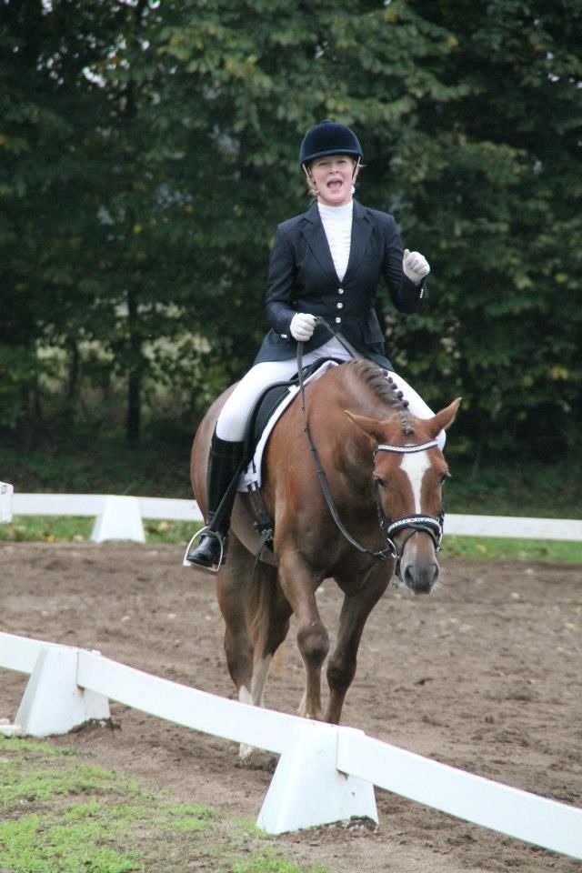 Welsh Cob (sec D) Fronerthig Red Hot Chili billede 20