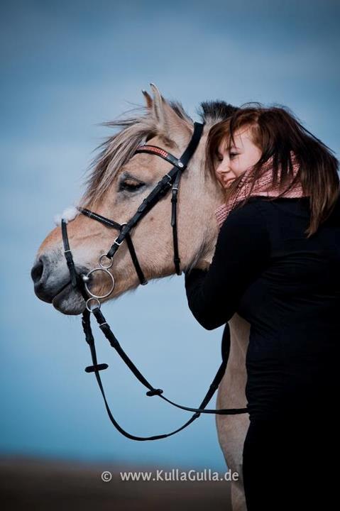 Fjordhest Lucas - fordi han betyder ALT for mig! :') Han er den pony jeg aldrig i mit liv vil miste! billede 15