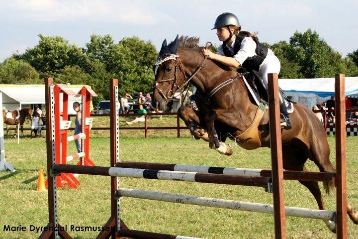 Anden særlig race Felicia billede 3