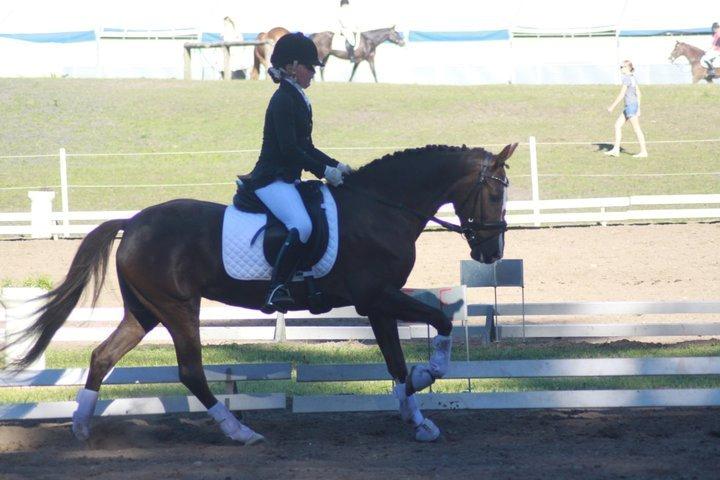 Anden særlig race Felicia billede 4