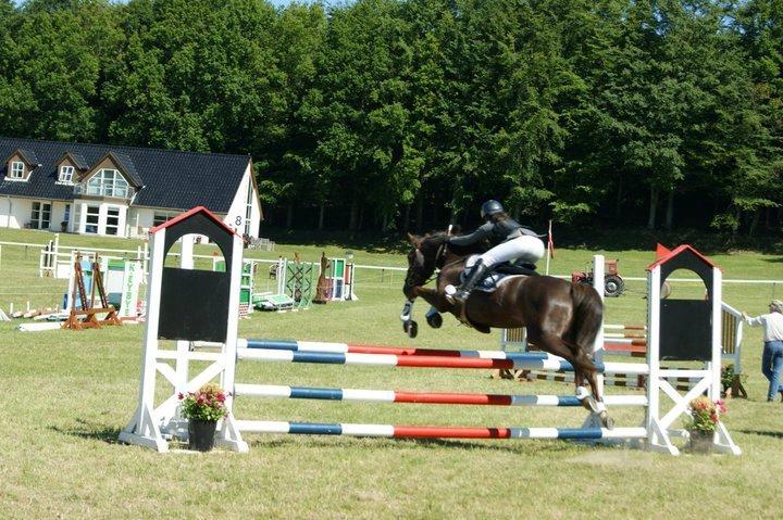 Anden særlig race Felicia billede 7