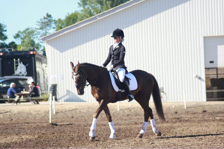 Anden særlig race Felicia billede 8