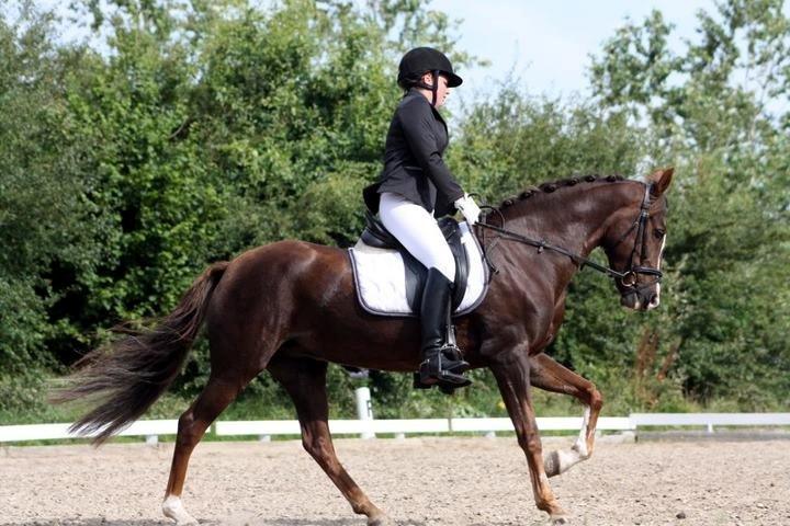 Anden særlig race Felicia billede 10