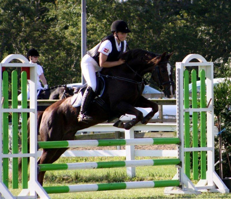 Anden særlig race Felicia billede 12