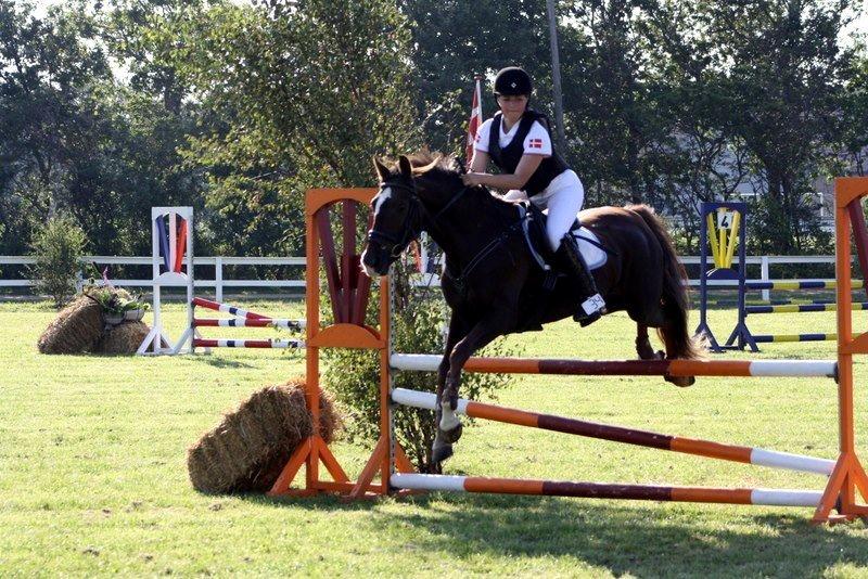 Anden særlig race Felicia billede 13