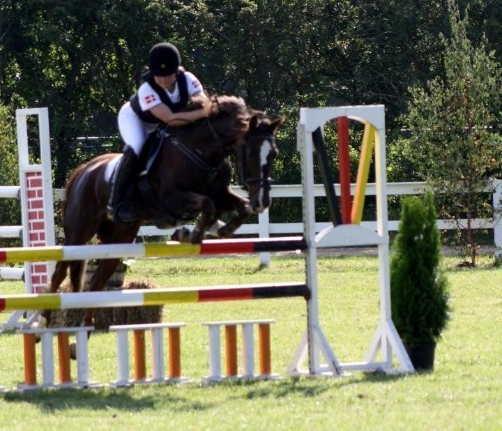 Anden særlig race Felicia billede 14