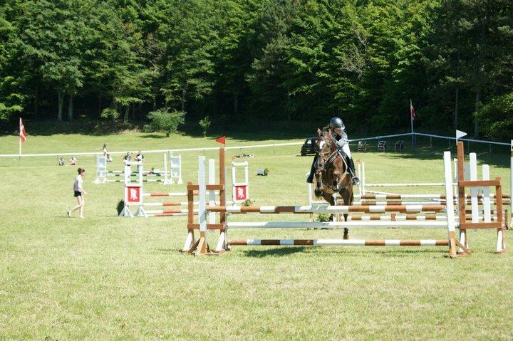 Anden særlig race Felicia billede 16