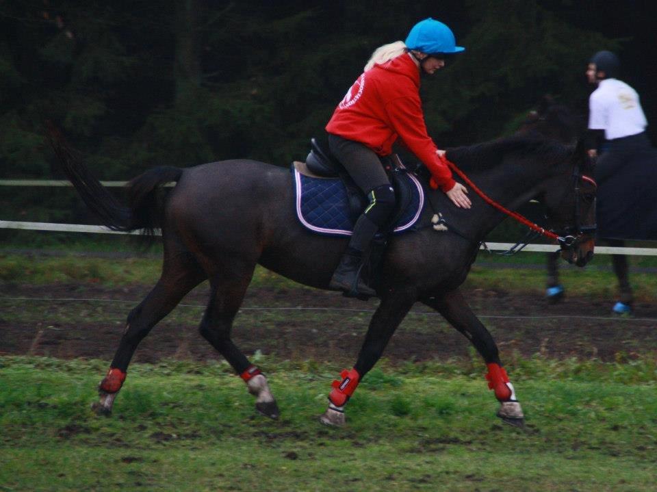 Hollandsk Sportspony Clio! <3 - Leo Cup 2012 <3 billede 7