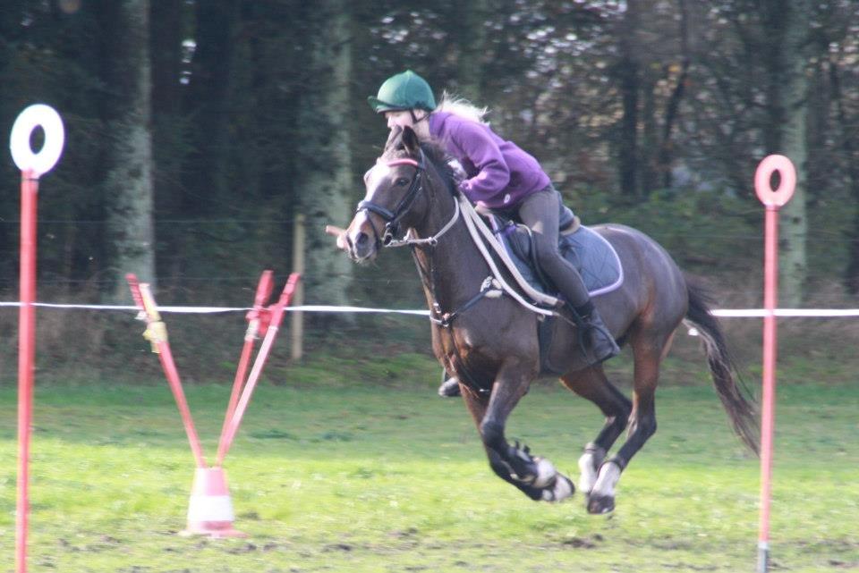 Hollandsk Sportspony Clio! <3 - Leo Cup 2012 <3 billede 5