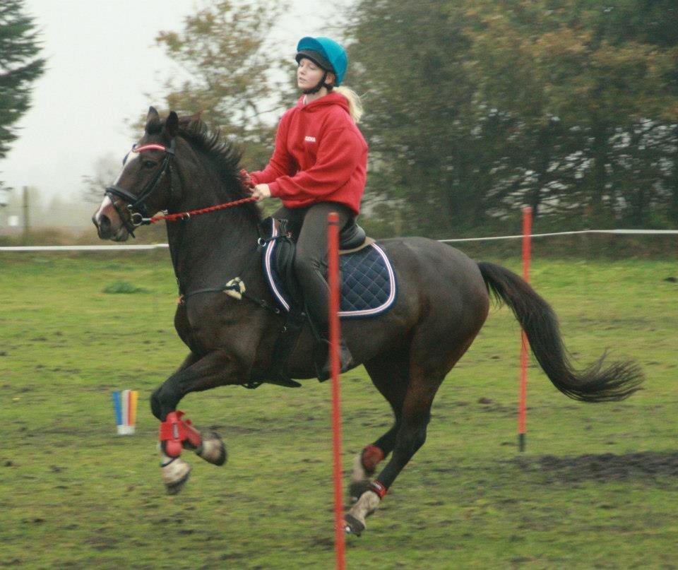 Hollandsk Sportspony Clio! <3 - Leo Cup 2012 <3 billede 1