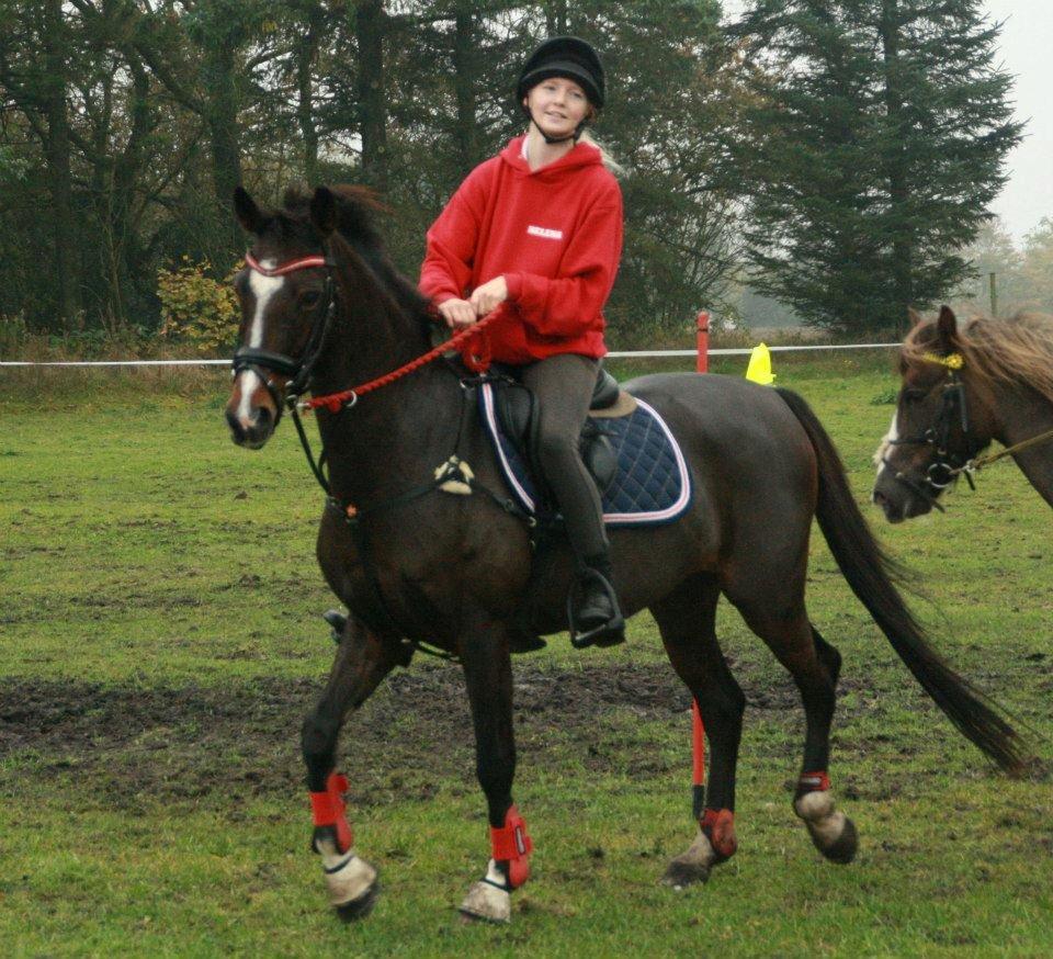 Hollandsk Sportspony Clio! <3 - Leo Cup 2012 <3 billede 4