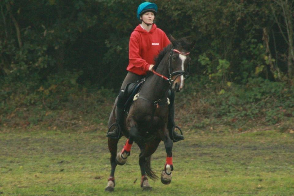 Hollandsk Sportspony Clio! <3 - Åårh willow!! <3 billede 6