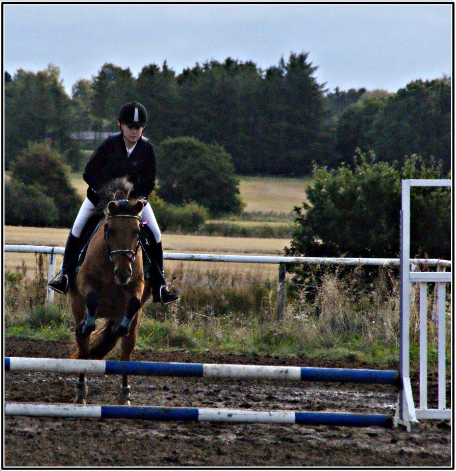 Anden særlig race Flicka RDH - Første stævne. Foto: Anna Kronborg billede 9