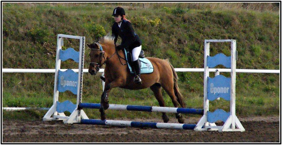 Anden særlig race Flicka RDH - Første stævne. Foto: Anna Kronborg billede 10