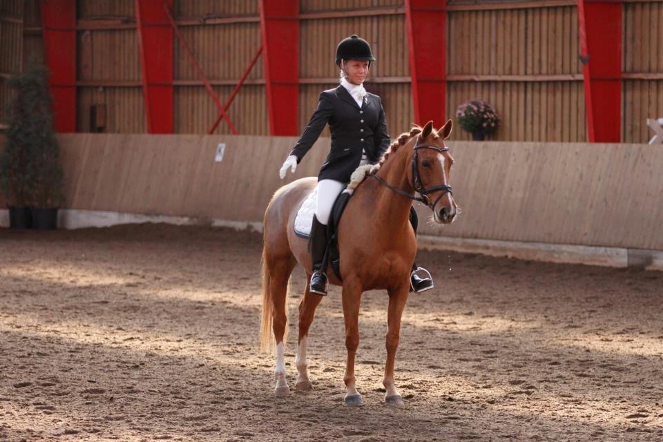 DSP Lindveds Musca - Musca og jeg i vores første PRT <3 billede 19