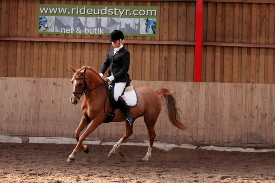 DSP Lindveds Musca - PRI <3 billede 20